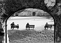 Padova, l'Arena romana (1961)  - ph©Gustavo Millozzi